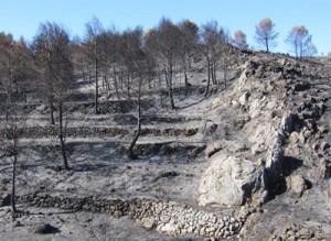 fuego en Vall d'Alcala