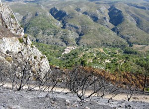 fuego Vall d'Alcala
